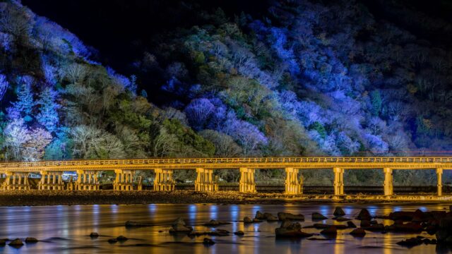 嵐山花灯路