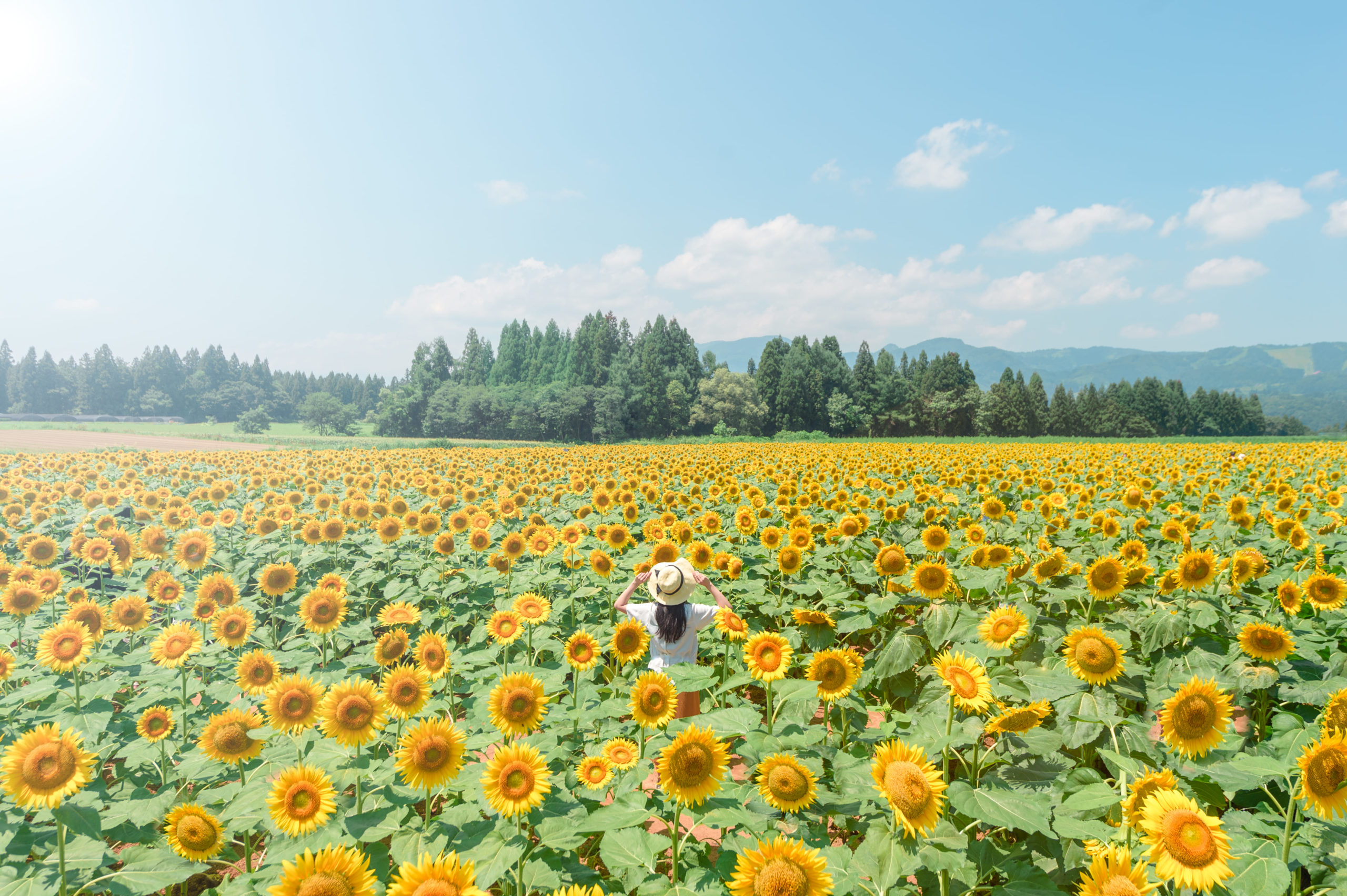 年11月最新 フォトコンテストに出したい 入賞したい おすすめフォトコンテストまとめ カメライゼ 旅するカメラ