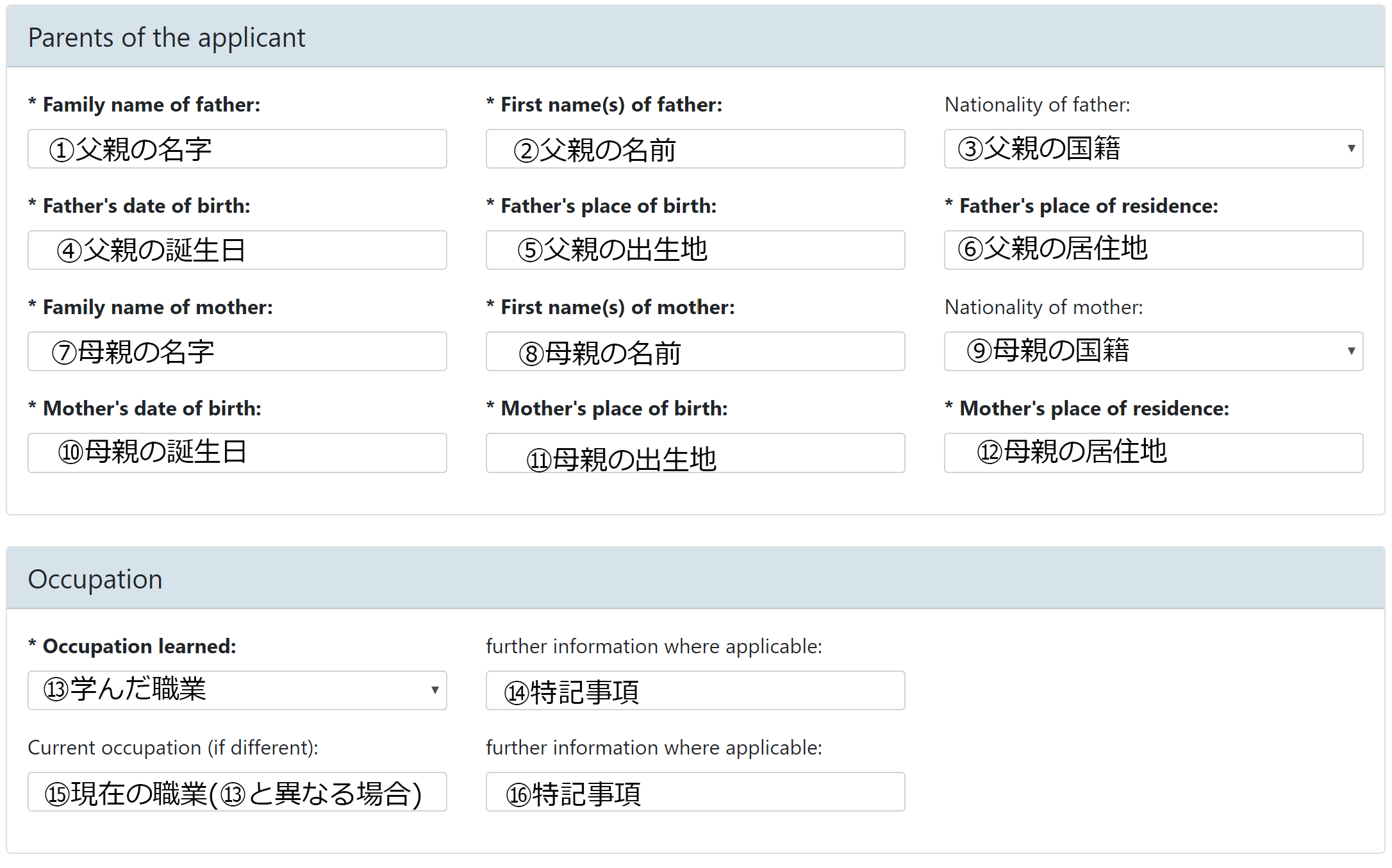 ドイツワーキングホリデー申請方法 必要書類とその記入方法 カメライゼ 旅するカメラ